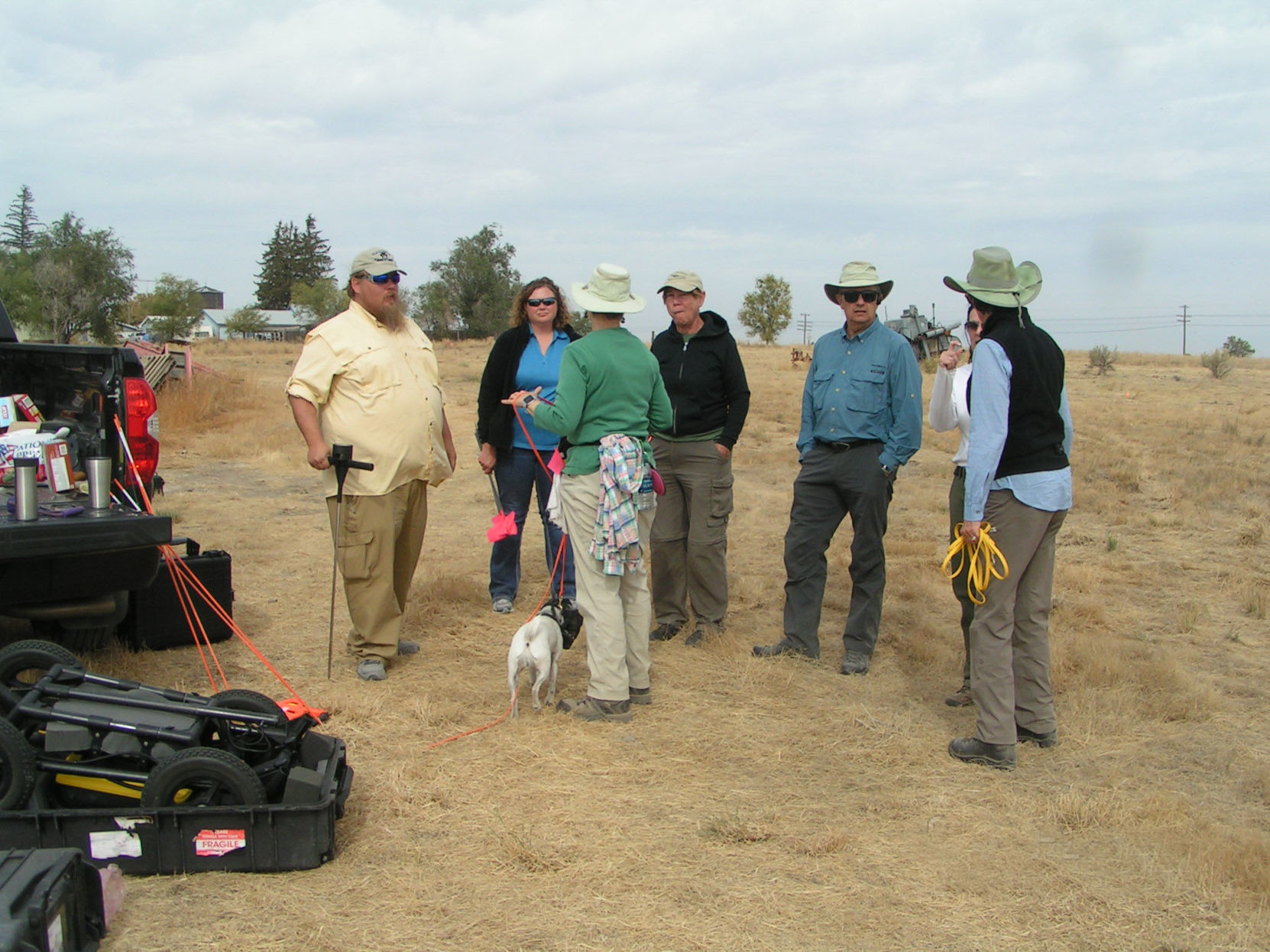 Cadaver dogs